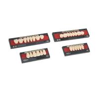 YUMILI Matériau Résine Synthétique Faux Dents Outil de Remplissage Dentaire avec Méthacrylate de Polyméthyle pour les Dentistes pour Fabriquer une Prothèse Complète ou Unique