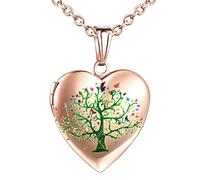 Yumilok Collier cœur Femme Fille, Collier Photo, en Acier Inoxydable, Collier Photo d'arbre de Vie, on Peut Mettre la Photo à l'intérieur, Collier médaillon, Locket, Or Rose