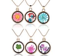 Yumilok Jewelry Collier Pendentif en Alliage et Verre Le spécimen végétal Six pièces en Couleur différent pour Femme Fille