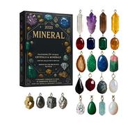 Yumneo Calendrier de Noël 2025, accessoires de collection plats de 24 jours - Compte à rebours jusqu'à Noël - Calendrier minéral pour arbre, fenêtre, mur, clôture, cheminée, famille, amis, adolescents