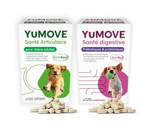YuMOVE Arthrose Chien + Probiotique Superpack - Lot 120+120 Comprimés - ActivEase Moule Verte Soutien Articulation avec Glucosamine pour Mobilité - Pré et Probiotique ActivBio Formule & Protection