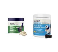 YuMOVE Arthrose Chien Senior 8+ Ans - 240 Comprimés - 170mg par Comprimé Brevet en Instance ActivEase Moule Verte Chien + Vetnique Glandex pour Chien - 120 bouchées à mâcher Santé des Glandes anales