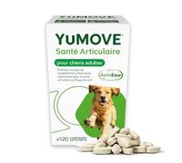 YuMOVE Complément pour les articulations du chien - 120 comprimés contenant ActivEase, moules vertes, glucosamine et chondroïtine pour le soutien articulaire - Complément pour les articulations