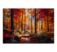 Yunlus Puzzles pour Adultes 1000 pièce Puzzles Impossibles Difficiles et Stimulants pour Adolescents Puzzle Représentant Un Paysage Forestier d'automne avec des Feuilles D'érable 70 x 50 cm