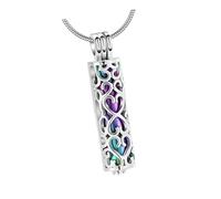 Yunmeryker Collier Urne Funéraire, Chaîne, Cadeau de Collection, Décoration élégante, Bijoux Commémoratifs, Porte-Cendres pour Thanksgiving, Anniversaire, Argent