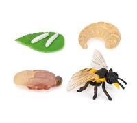 Yunmeryker Modèle Cycle Vie Insecte Éducatif, Étape larvaire, Modèle d'apprentissage, Apprentissage Scolaire, pour centres Loisirs , Style to 2