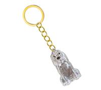 YUNNIAN Porte-clés Commémoratif Transparent pour Animaux De Compagnie Bouteille De Cheveux pour Conserver Le Chien Et Les Cendres Boîte À Bijoux Rangement Étanche Porte-clés Mémoire Sentimental
