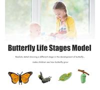 Yunseity Ensemble de Jouets du Cycle de Vie des Insectes pour Enfants, Chiffres Détaillés, Plateau en Bois, Outils Pédagogiques éducatifs pour Les Enfants D'âge Préscolaire à Domicile