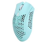 Yunseity Souris sans Fil 2,4 GHz, avec Réglage de la Lumière RVB, Souris de Jeu Rechargeable sans Fil, avec 7 Boutons, Économie d'Énergie, Capteur de Puce de Jeu Profession