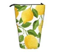 YUNWEIKEJI Citrons Aquarelle Jaune Vif, Trousse à Crayons télescopique, Porte-Crayon sur Pied avec Pochette à Crayons à Fermeture éclair, Sac à stylos