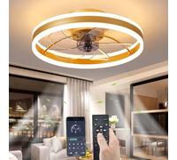 YUNZI Ventilateur de Plafond avec lumière et télécommande, LED 60W Gradable Plafonnier Moderne Profile Bas Ventilateurs de Plafond pour Salon Chambre Éclairage, 6 Vitesses, Or, 50CM