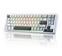 YUNZII AL71 75% Clavier Mécanique,Aluminium CNC, Hot Swappable Gasket, 2.4 GHz sans Fil BT5.0/USB-C Gaming Clavier,NKRO Programmable RGB pour Win/Mac(Argent, Cristal Blanc Switch)