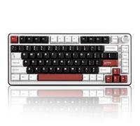 YUNZII B75 Pro Clavier Mécanique sans Fil, 75% Game Keyboard Hot Swap Custom avec Knob, Pre-lubed Switches RGB, BT/Type-C/2.4G(Milk Switch,Noir)