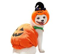 yupeuooe Costume Citrouille pour Chien - Chapeau Chiot Citrouille,Tenue Déguisement Chien Halloween pour Fête à Thème Promenades Photos Automne Hiver Habillage