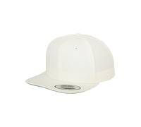 Yupoong Flexfit Original Casquette Baseball Snapback Neuf Plein 2-Tone Era Blank