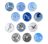 Yuqilin 12 Pièces Aimant Frigo，Animal Verre Magnet Frigo Set Enfants Mouette 3D Aimants Tableau Magnétique Aimant Rond Frigo Decoratif Rétro 30 MM，pour Tableaux Blancs Réfrigérateurs Photos（E）