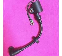 Yurefax Bobine d'allumage haute pression for moteur de bateau A, for hors-bord 2 temps Parsun T20 T25 T30A T20-06030002 Bobine d'allumage de moteur marin