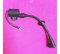 Yurefax Bobine d'allumage haute pression for moteur hors-bord B, for Parsun, de bateau 2 temps T20 T25 T30A T20-06030003 Bobine d'allumage de moteur marin