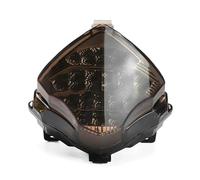 Yurefax Feu stop arrière LED YZF R1, clignotant intégré, for, for YZF-R1, for YZFR1 2002-2014 2007, feu stop arrière de moto Clignotants pour moto(C 2004-2006 YZF R1-01)