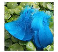 Yurosiay Lot de 100 plumes colorées naturelles artisanales - Plumes d'oie multicolores - Plumes décoratives pour le bricolage - Plumes décoratives pour le bricolage - Boucles d'oreilles -
