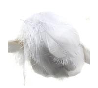 Yurosiay Lot de 100 plumes colorées naturelles artisanales - Plumes d'oie multicolores - Plumes décoratives pour le bricolage - Plumes décoratives pour bricolage - Pour boucles d'oreilles -