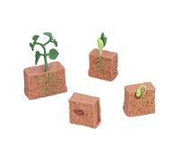 Yusat Modèle de Stade de Croissance des Plantes, Kit éducatif du Cycle de Vie des Haricots avec des Détails Réalistes pour Enfants Garçons Filles de 4 Ans et Plus