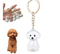 YUSAVHO Porte-clés collecteur de poils de chien, souvenir commémoratif pour animaux de compagnie, médaillon en fourrure personnalisé, cadeau commémoratif pour les amoureux des animaux de compagnie