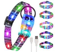 YUSHANG Collier Lumineux Chien,Collier LED Rechargeable Etanche pour Chien,2-en-1 Boucle Type Colliers Lumineux pour Petits Moyens Gros Chiens- XL(Violet bohème)