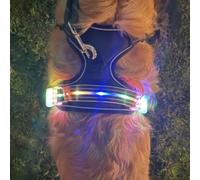 YUSHANG Harnais LED Rechargeable Étanche pour Chien, Lumineux et Clignotant pour Promenade Nocturne - Moyen (Noir-M)