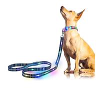 YUSHANG Laisse Lumineuse LED pour Chien - Rechargeable Laisse Chien LED,1,5 m, 3 Modes d'éclairage pour Chiens de Moyenne et Grande Taille Marchant la Nuit (L:1.5m/W:25mm)