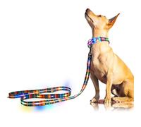 YUSHANG Laisse Lumineuse LED pour Chien - Rechargeable Laisse Chien LED,1,5 m, 3 Modes d'éclairage pour Chiens de Moyenne et Grande Taille Marchant la Nuit (L:1.5m/W:25mm)