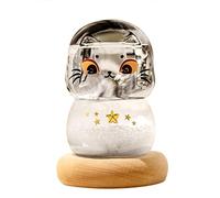 Yusheng Bouteille de prévisions météo en verre tempête, station météo, bouteille de prévisions météo de bureau, créatif, élégant, utilisé pour la décoration de la maison et du bureau