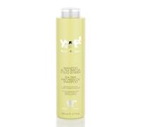 YUUP! - Shampoing Anti Puce Chien et Chat 500 ML au Tea Tree Oil & Huile de Neem, nettoyant répulsive Contre moustiques, taons, tiques, Mouches et puces
