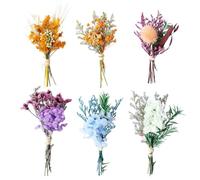 YUVKIN 6 Bouquets Fleurs Séchées, Bouquet de Séchées, Sechees Vrac, Sechees Decoration pour Scrapbooking, Bougie Bricolage, Résine Époxy, Fleurs Sechees Naturelles, Decoration Fleur Sechee (Style 1)