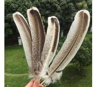 YUWEN 10 pièces Plumes d'aigle Naturelles 10-12 pouces/25-30 cm Artisanat Bijoux Accessoires Bricolage