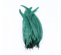 YUWEN 100 pièces/lot Plumes de Queue de Coq Naturel Noir Blanc Plumes de Coq pour Artisanat Carnaval scène Coiffure décoration Plume 25-40cm