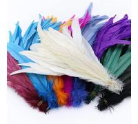 YUWEN 100 pièces/lot Plumes de Queue de Coq Naturel Noir Blanc Plumes de Coq pour Artisanat Carnaval scène Coiffure décoration Plume 25-40cm