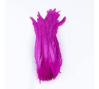 YUWEN 100 pièces/lot Plumes de Queue de Coq Naturel Noir Blanc Plumes de Coq pour Artisanat Carnaval scène Coiffure décoration Plume 25-40cm