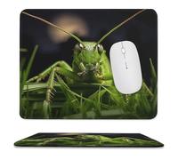 YUXBVKRS Tapis de souris avec bords cousus, petit tapis de souris en caoutchouc, imprimé sauterelle sur herbe, 24,9 x 30 cm, imperméable et portable pour bureau, jeux, étude