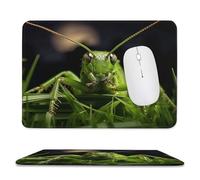YUXBVKRS Tapis de souris avec bords cousus, petit tapis de souris en caoutchouc, imprimé sauterelle sur herbe, 20,1 x 23,9 cm, imperméable et portable pour bureau, jeux, étude