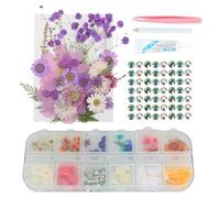 YUXUAN 170PCS DIY Fleurs Naturelles Séchées Set de Strass Visage avec Mélange de Feuilles Séchées pour Bricolage, Faire des Cartes, Percer Le Visage, Autocollants Visage, Déguisement Visage
