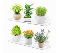 YUYTE Lot de 2 étagères Flottantes pour Plantes de Fenêtre, étagères à Ventouses en Acrylique Transparent avec Bande Portante pour Plantes Succulentes D'intérieur, 4 Ventouses de 5
