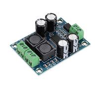 YUYTE TPA3118 Digital Amplificer Board Mono 60W Output Class D Amplificateur Module avec Mode PBTL pour une Faible Impédance Haute Puissance DC10-24V