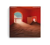 YUYUMEGDE Poster décoratif sur toile Tame Impala The Slow Rush Music - Poster mural et art mural moderne pour chambre à coucher - 60 x 60 cm