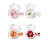 YUZNA 4 boîtes Fleur Ongle Fleurs Séchées Nail Art Ongles Set gel 3d nail art Décoration Ongle Multicolore avec 4 Couleurs Tendances pour Design Ongle Élégant