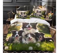 YVASPQRTW Famille de Border Collie 3D Imprimé Housse de Couette Microfibre Lavable Machine Photographie animalière Drap de Couette 2 taies éclair dissimulé déco Chambre Couple Single（140x200cm）