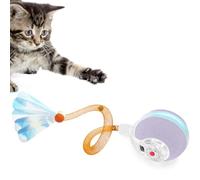 YVE LIFE Balle interactive pour chat d'intérieur, balle agile avec queue en maille élastique, jouet automatique pour chats adultes qui s'ennuient, activé par le mouvement (violet)