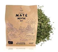 YVY MATÉ Yerba Mate Bio Menthe 500g | Maté Bio Équitable et Non Fumé | Sans Tige | Maté parfait pour débuter et profiter des bienfaits du maté en douceur | Boisson énergisante