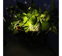 YWBL-WH Lampe Solaire à Fleurs, Lumière Décorative étanche, Lampe de Pot Durable et Compacte pour Allée de Jardin, Utilisation Intérieure et Extérieure (Couleur assortie)