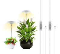 YWBL-WH Lumière de Croissance des Plantes, Lampe de Culture d'intérieur à LED à intensité Variable, Minuterie de 2/4/8 Heures, Conception en Mini Cercle pour le Soin des Plantes à Domicile